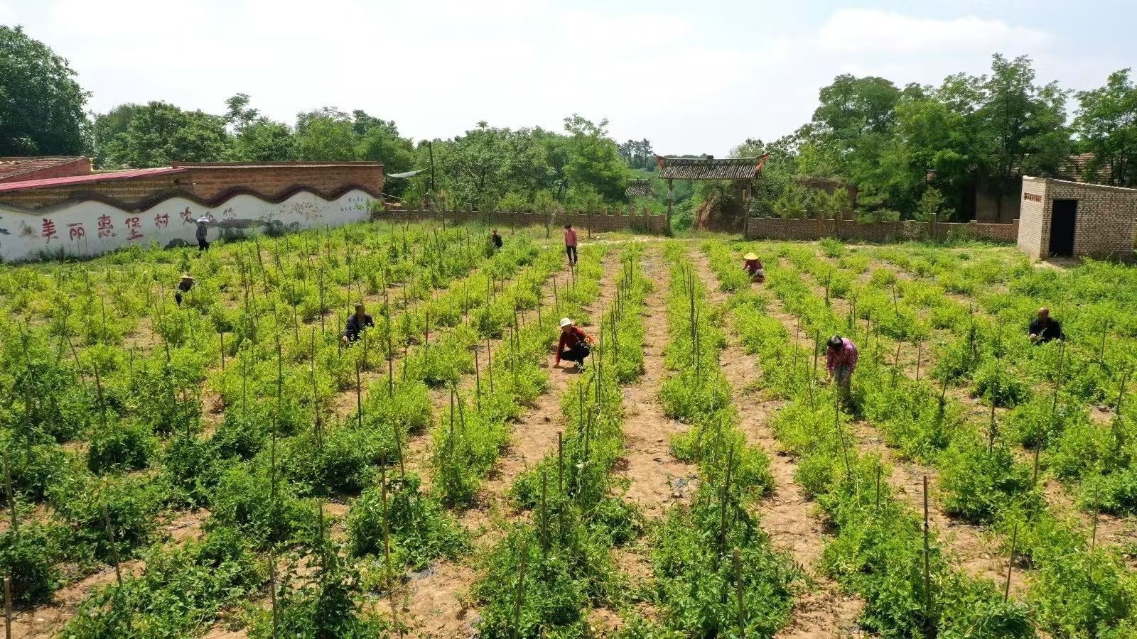 微信图片_20251011091955_43_246