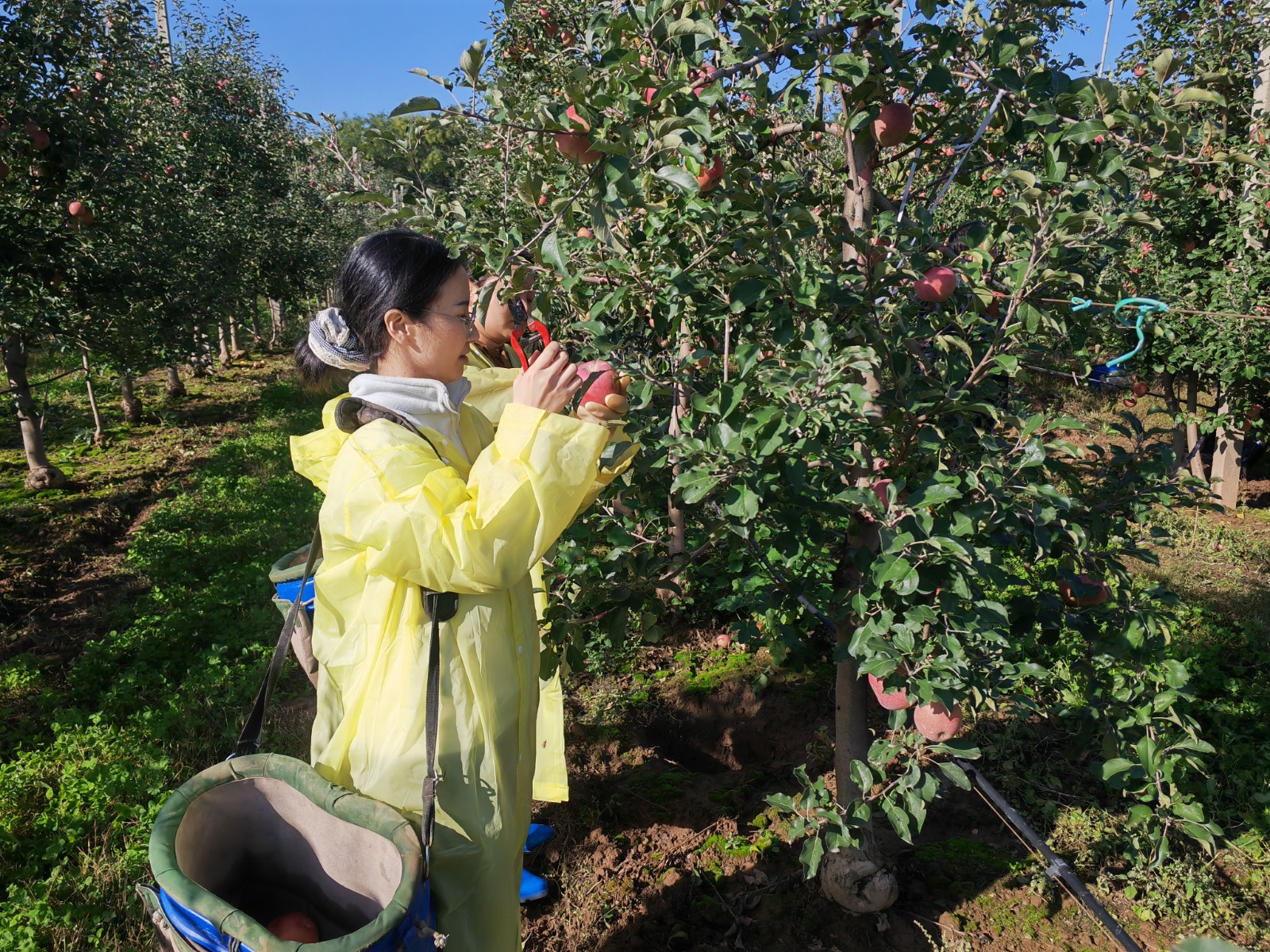 微信图片_20251013154221_30_693