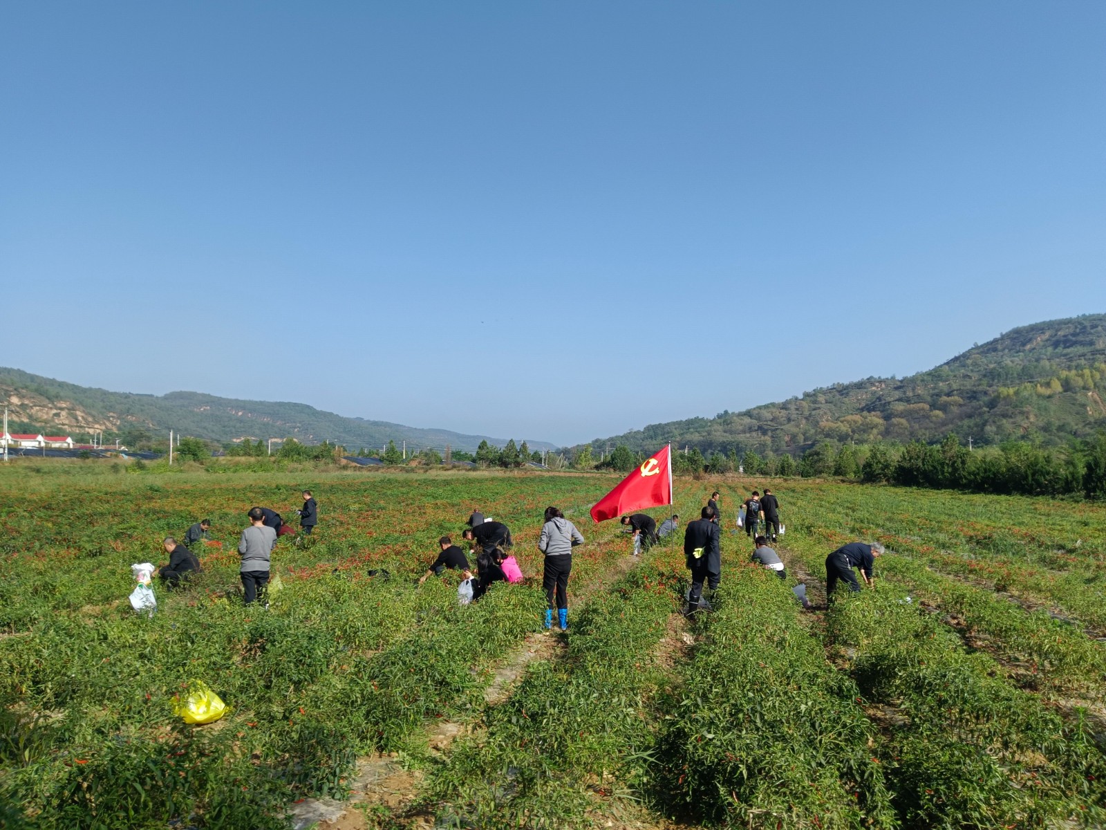 微信图片_20251013151345_27_239