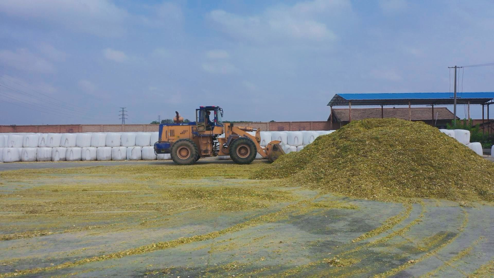 微信图片_20251011165303_80_90