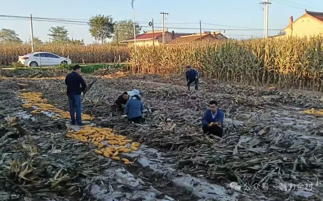 微信图片_20251014150653_7_662