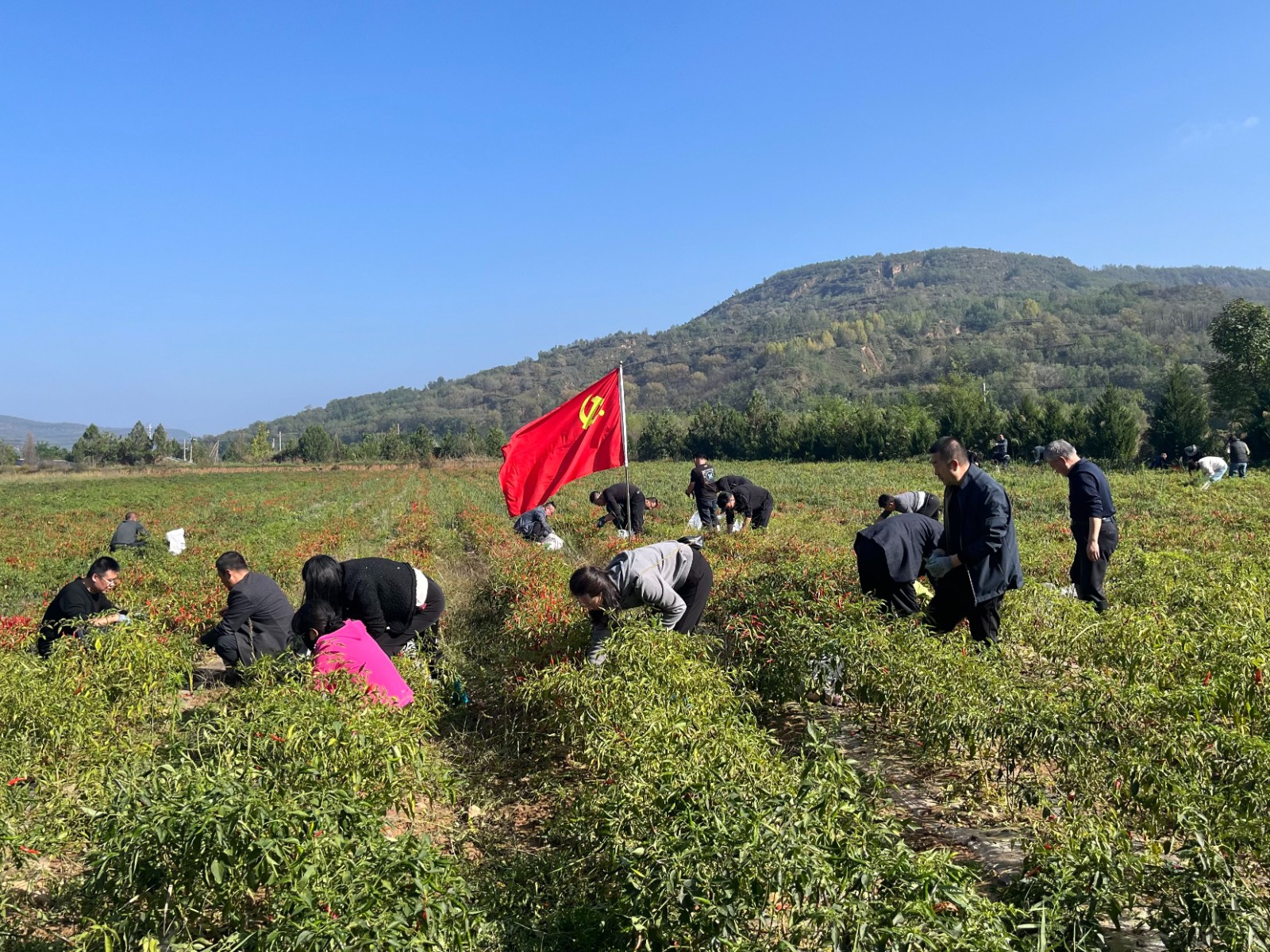 微信图片_20251014105346_128_31