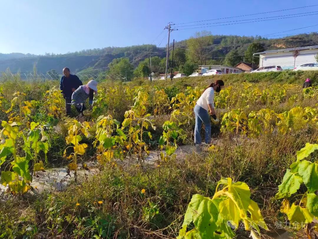 微信图片_20251014150659_8_662