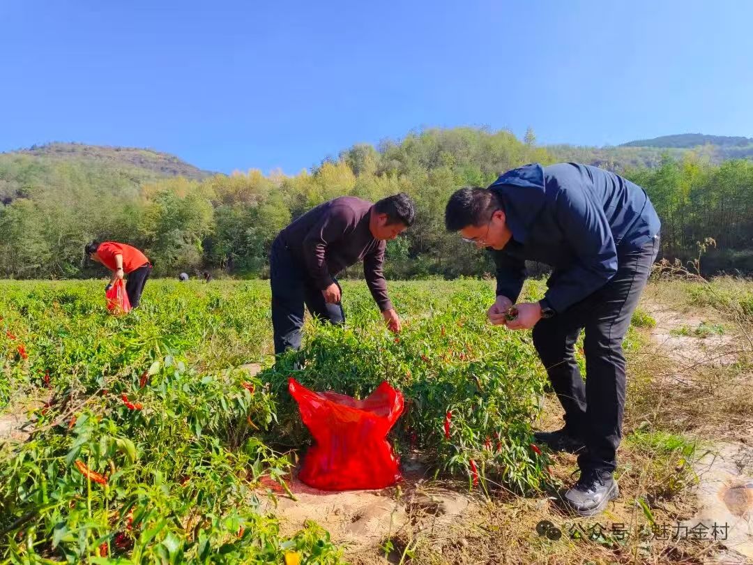 微信图片_20251014150647_6_662