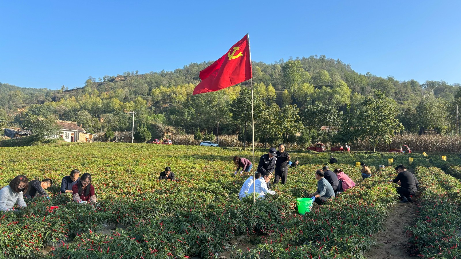 微信图片_20251014105343_127_31