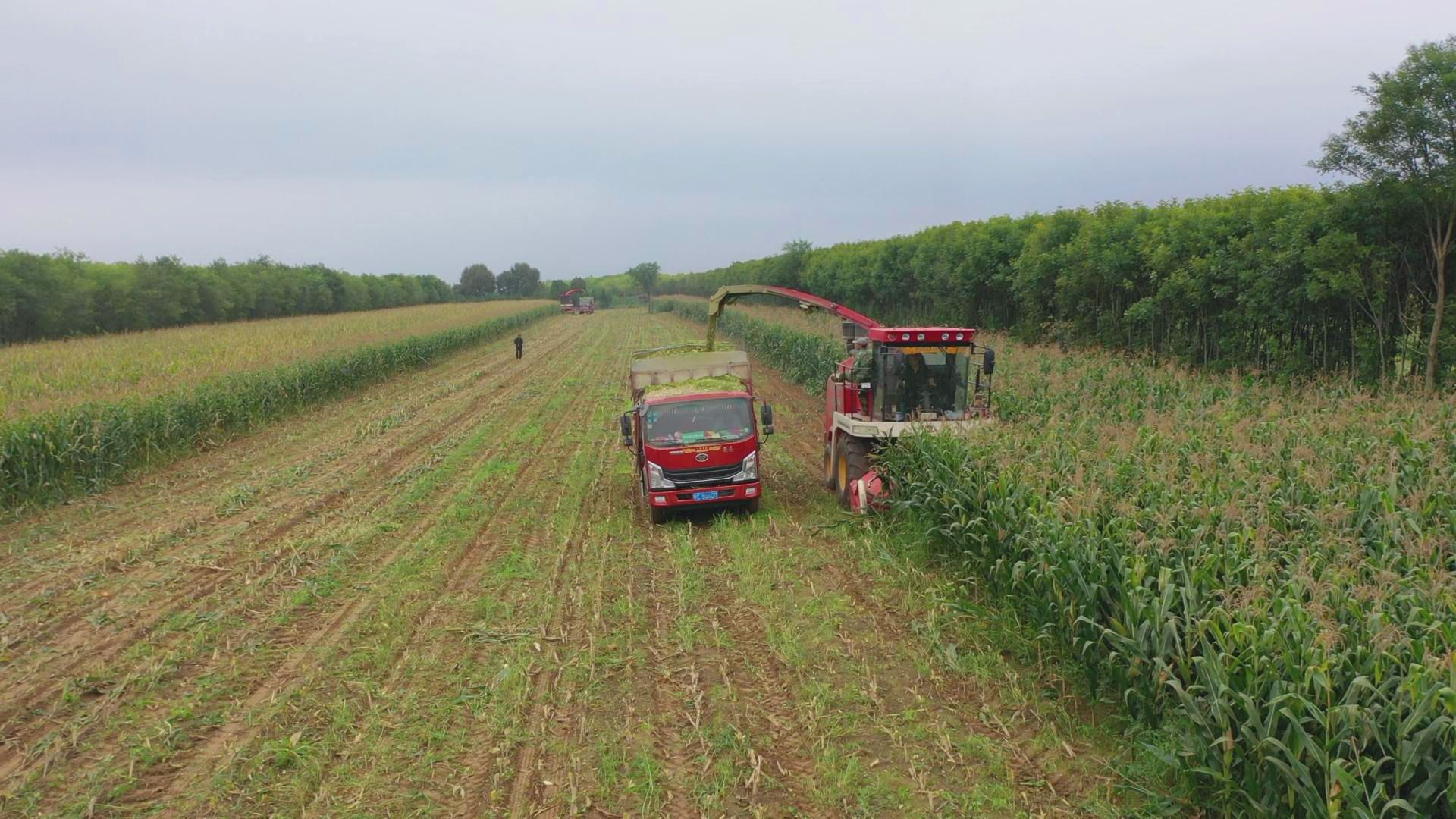 微信图片_20251011165306_81_90