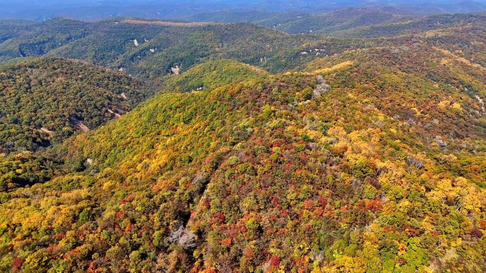DJI_20241013124341_0039_D.jpg