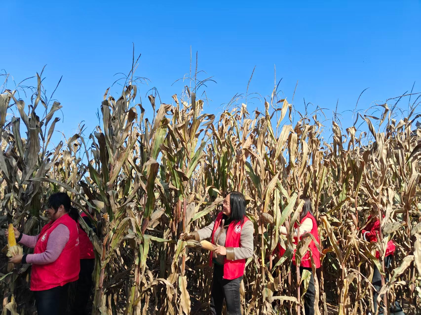 176******219625022813