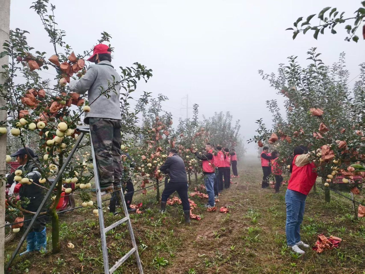 176******161977096175