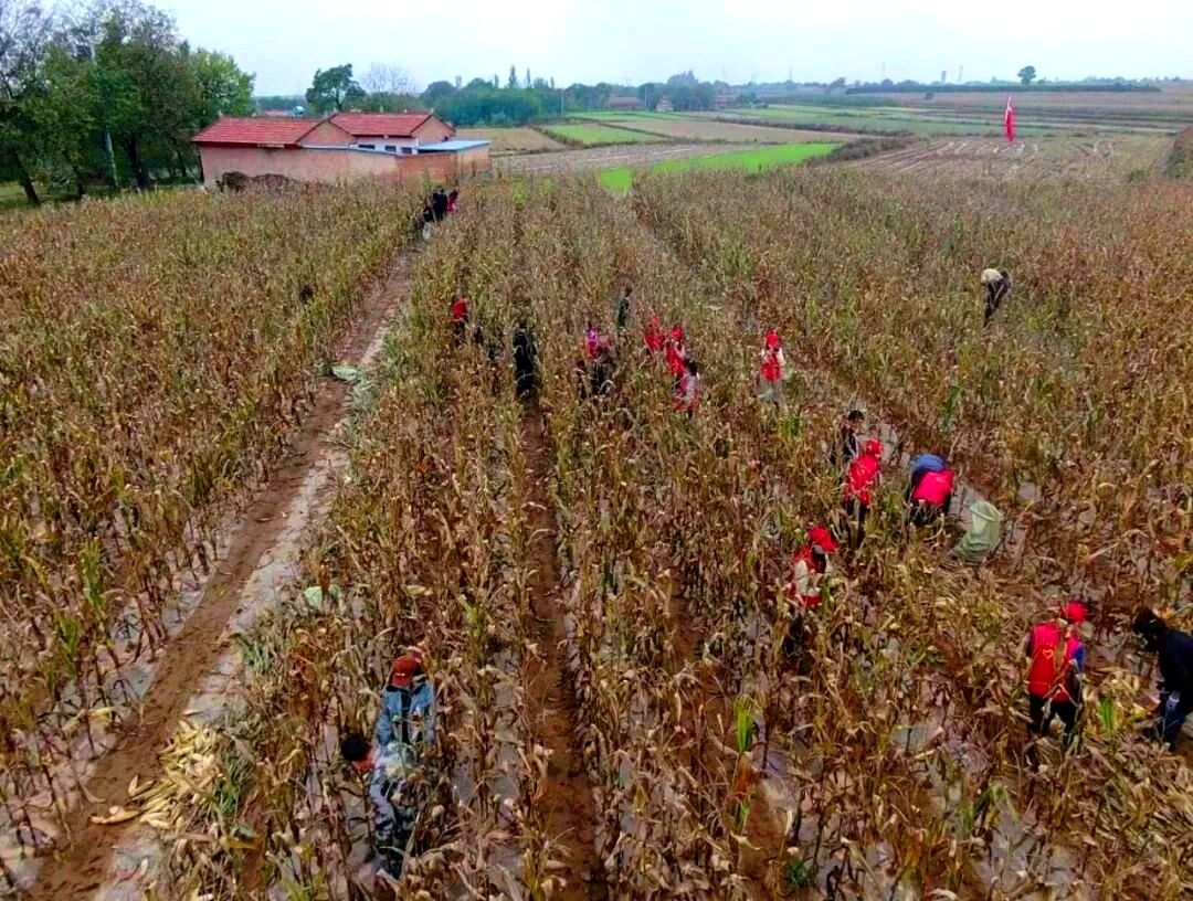 176******542002083335.jpg 176******542002083335.jpg