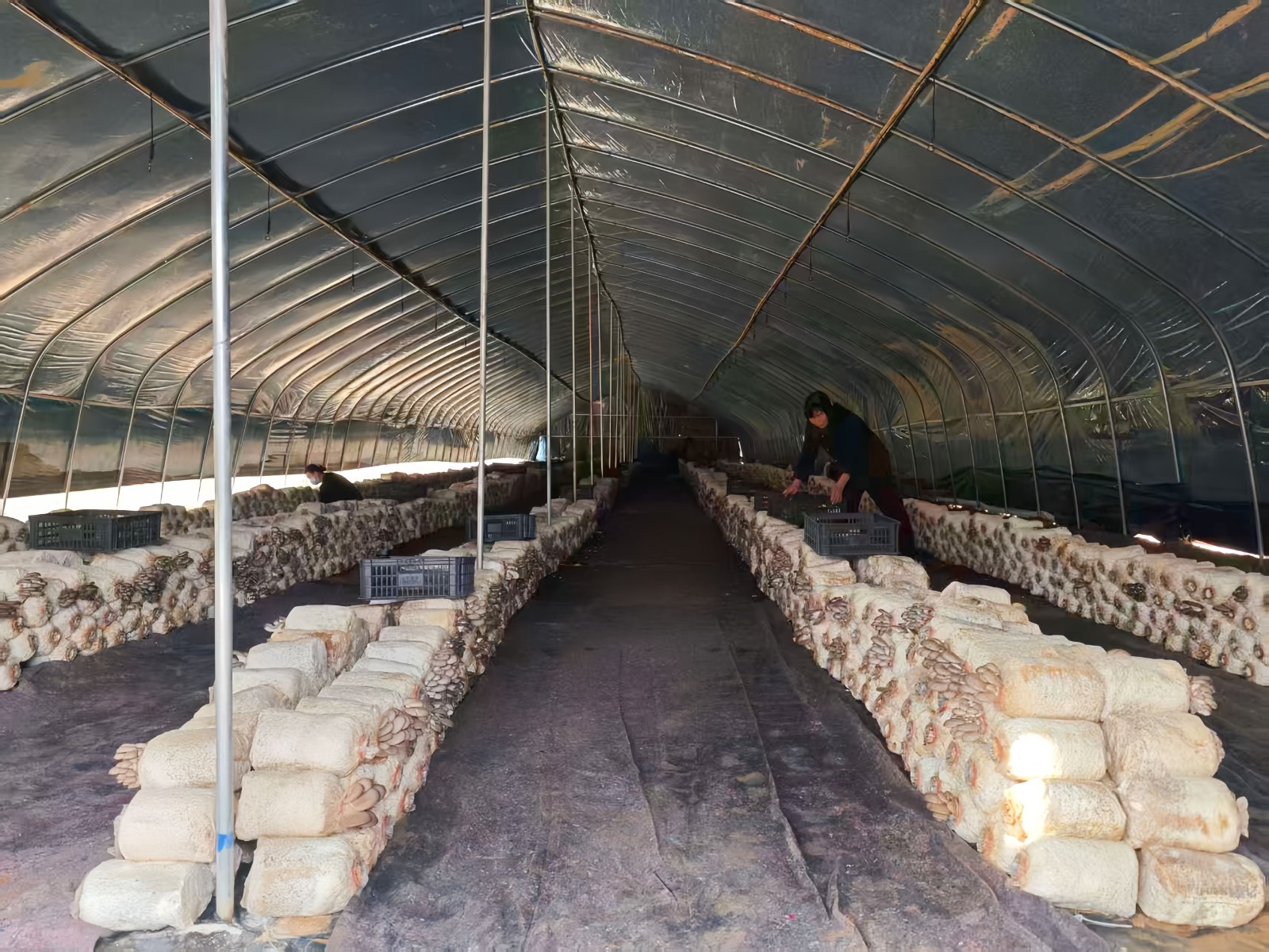 微信图片_20251104153503