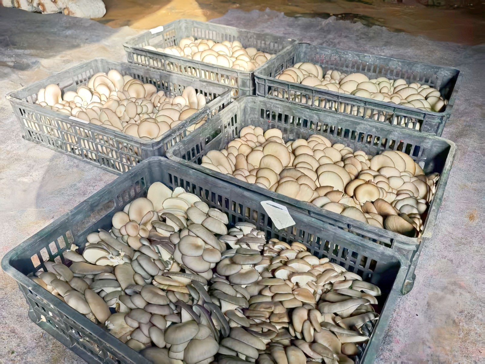 微信图片_20251104153452