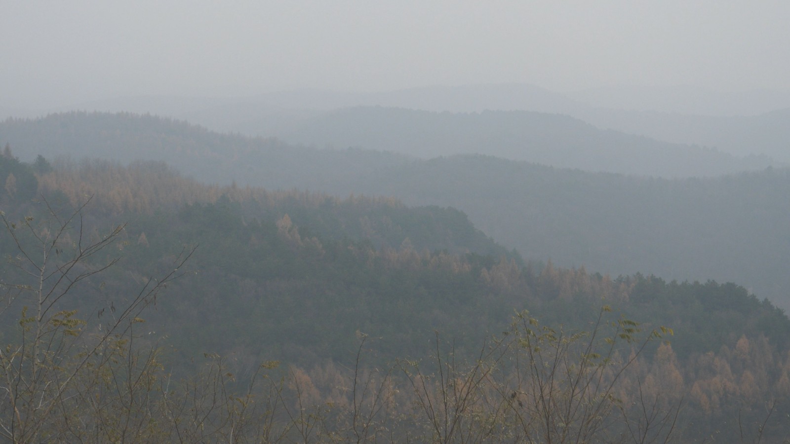 P******579.MP4_snapshot_00.01.956