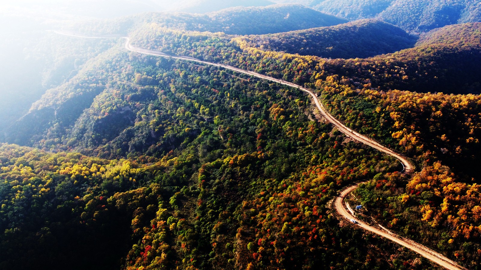 子午岭风光。李纲陵