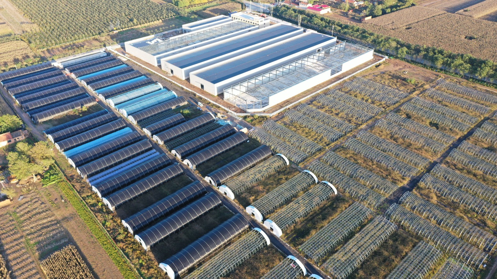 747163cc5797fd8173******07636e25eb