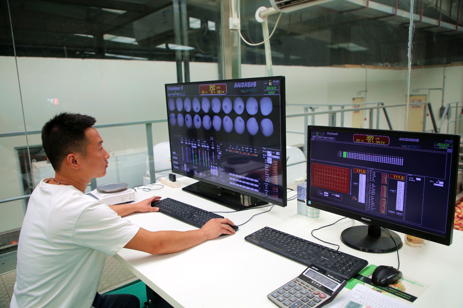 电脑操作系统正在对苹果进行智能化筛选