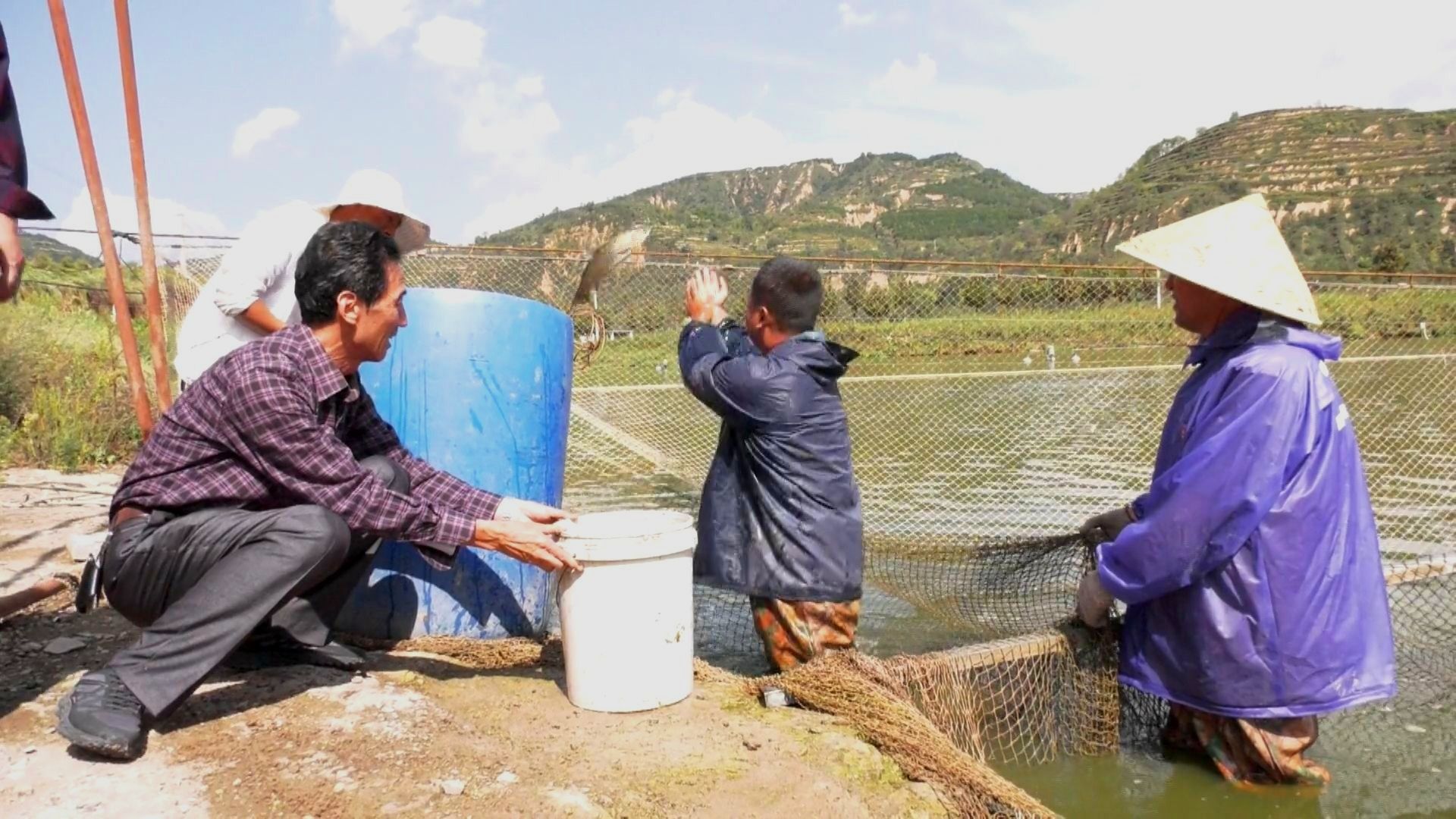 宁县林下经济产值达7200多万元.mp4_snapshot_01.44.896.jpg 宁县林下经济产值达7200多万元.mp4_snapshot_01.44.896.jpg