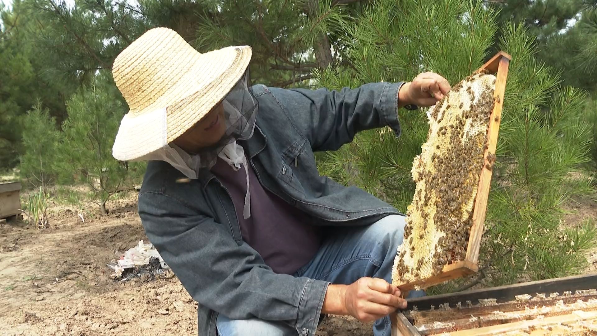 宁县林下经济产值达7200多万元.mp4_snapshot_03.23.320