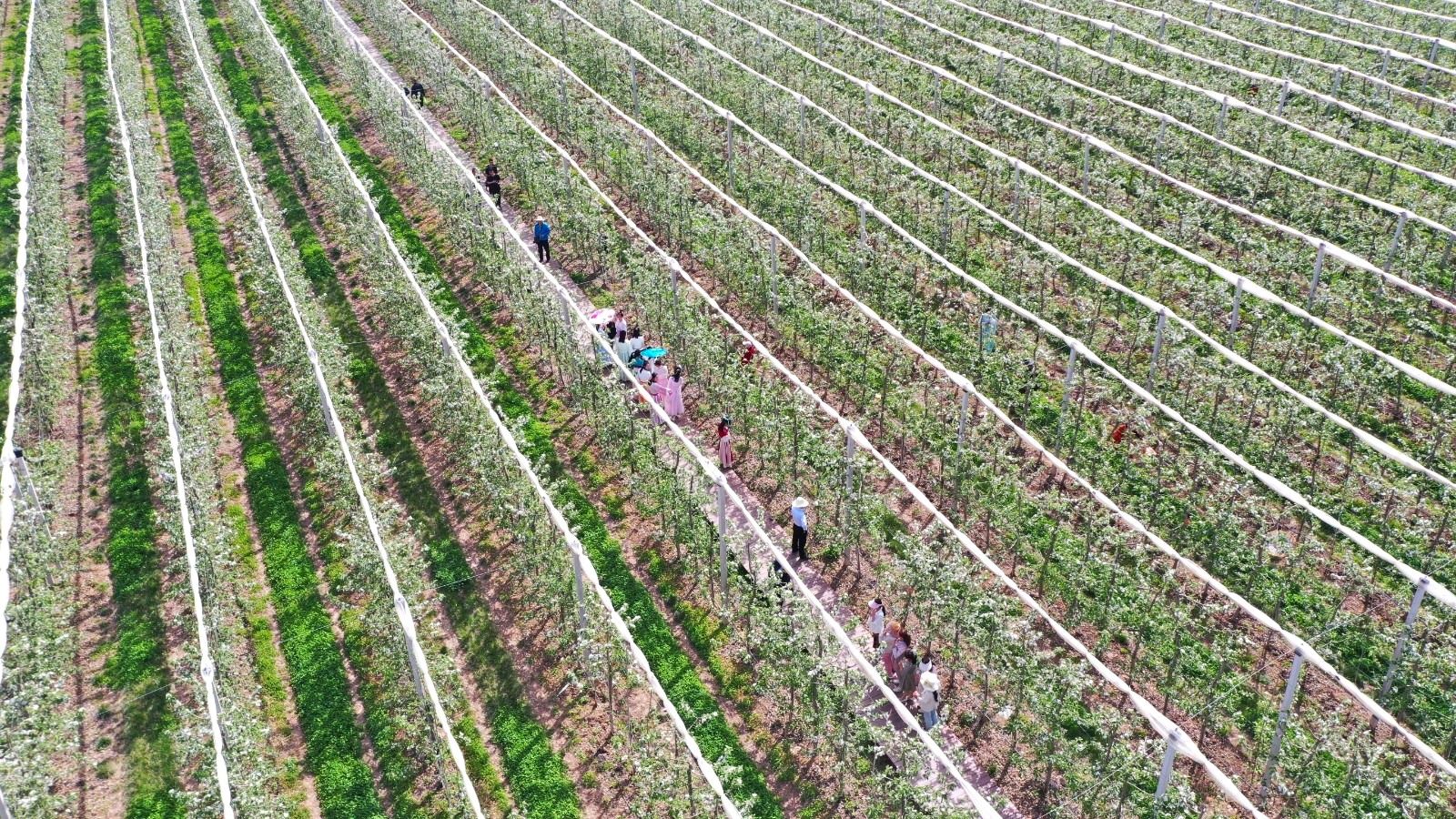 9fd892556e02159d45236b2707f7fa4.jpg 9fd892556e02159d45236b2707f7fa4.jpg