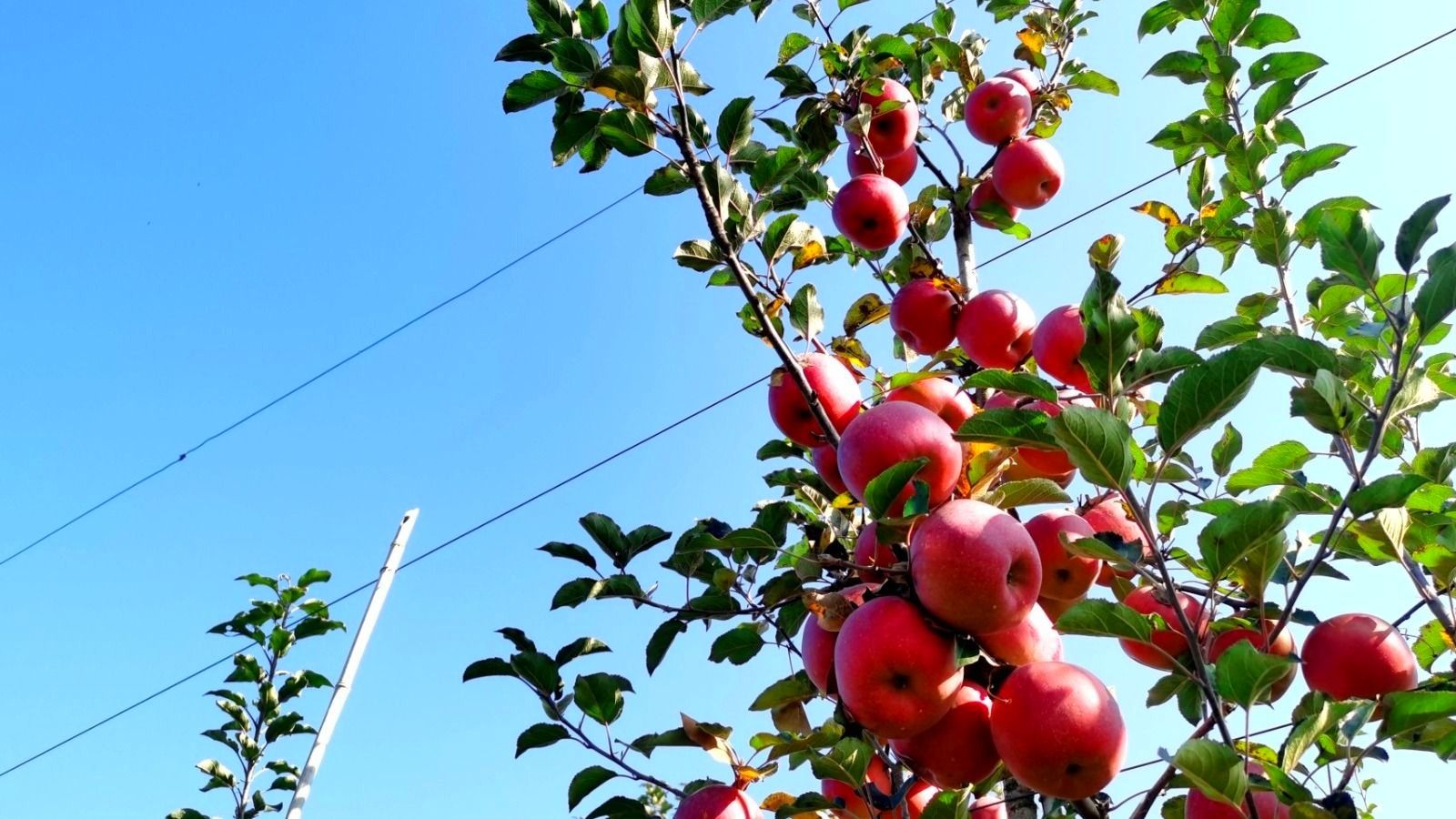 6d7ffb8d******1190a82db96879f1bc.jpg 6d7ffb8d******1190a82db96879f1bc.jpg