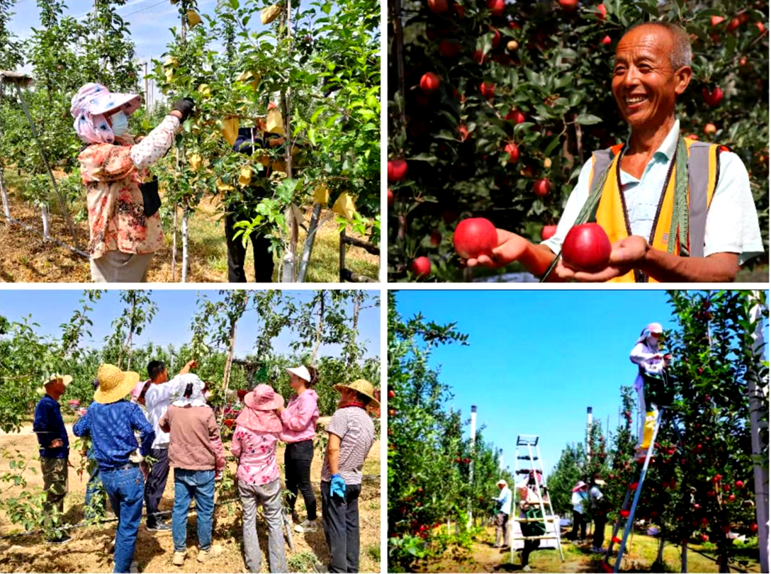 1765764688(1).png 1765764688(1).png