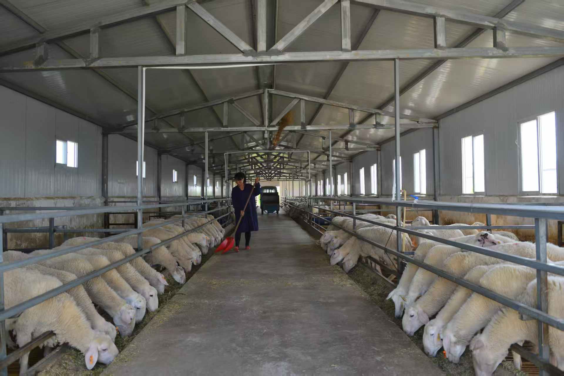 微信图片_20251229153302_557_163