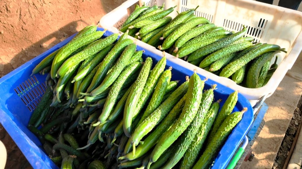 微信图片_20260108105926