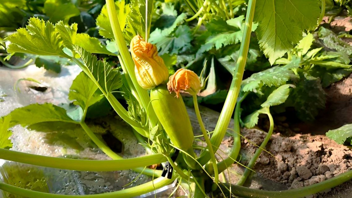 微信图片_20260108105738