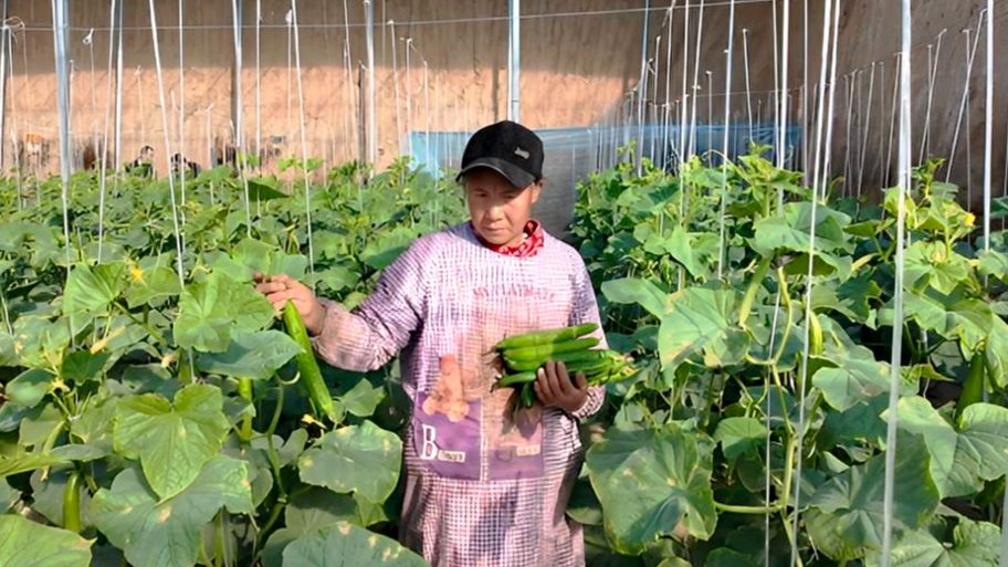 微信图片_20260108105728