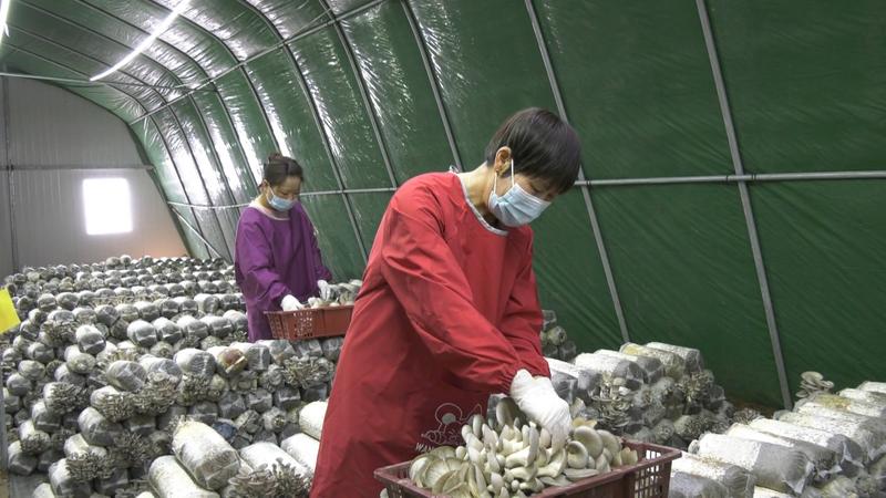 176******702992015822.jpg 2a7b78f7a65318f5e582b5f23d9afa89_ea16e592-9255-4a99-a4ae-fb5998f8b25f_m_fmt=jpg.jpg