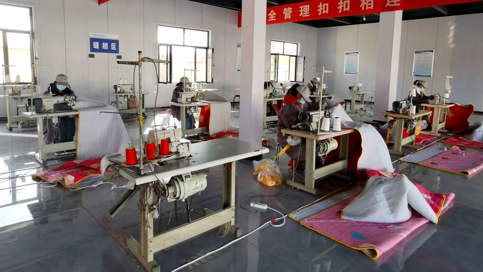 IMG_20240109_125449.jpg IMG_20240109_125449.jpg