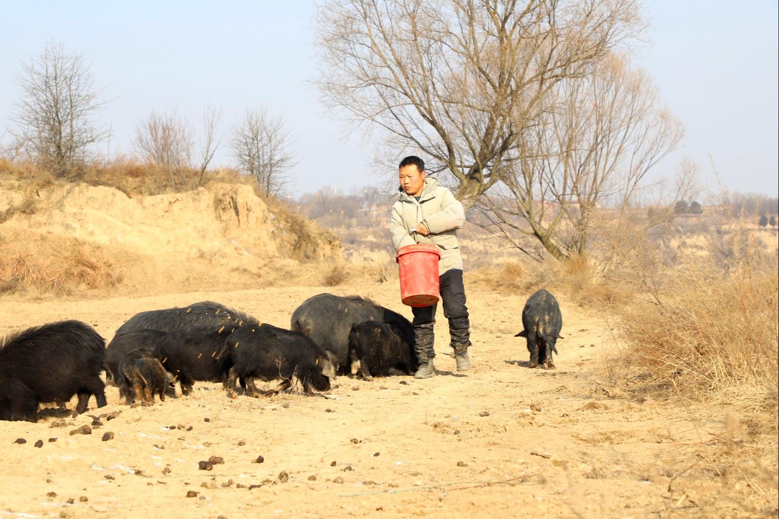 89af1762a581726d6d90ce05daf854a.jpg 89af1762a581726d6d90ce05daf854a.jpg