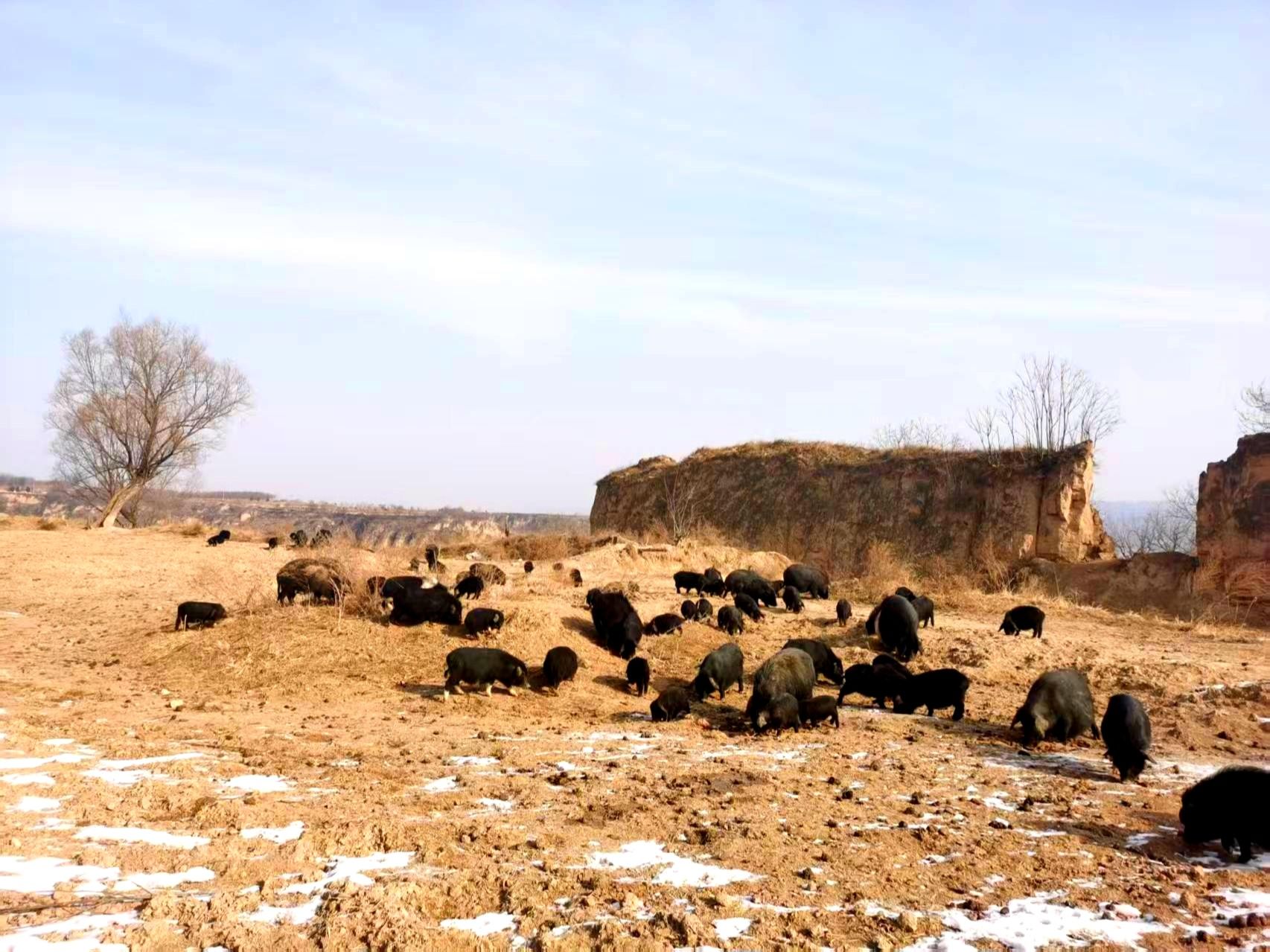 3fe8da67892b3ddd7cddbff773133cb.jpg 3fe8da67892b3ddd7cddbff773133cb.jpg