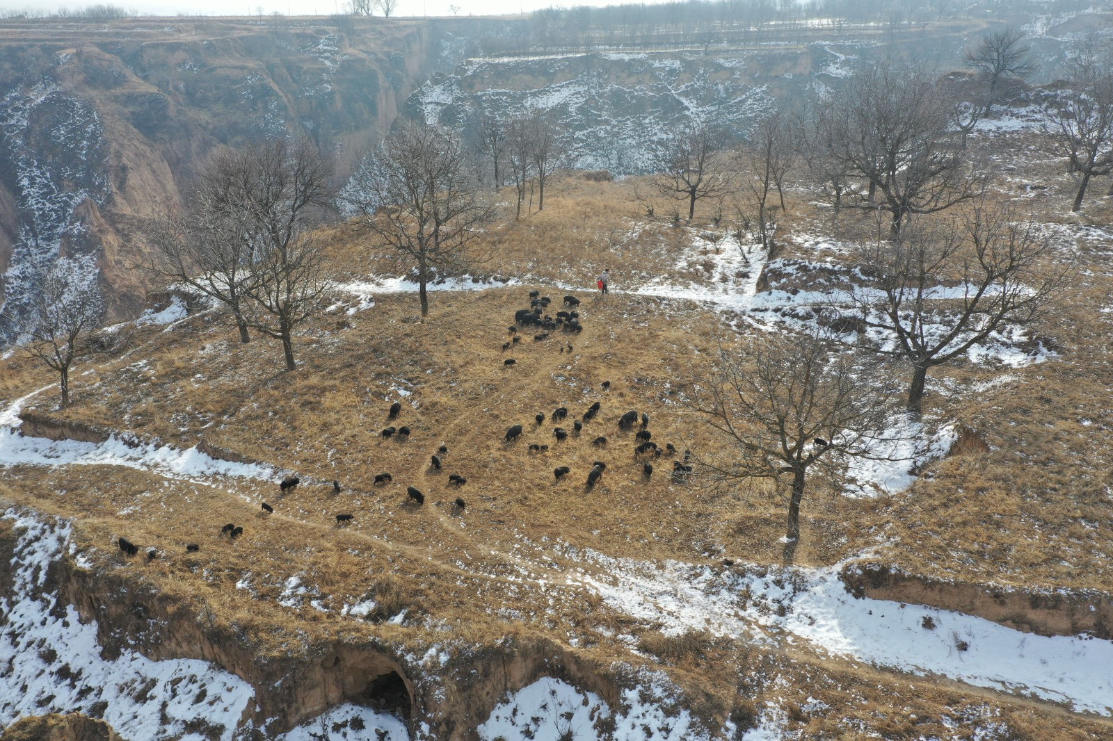 5a16125ad1647d78197c33e0c4c97ee