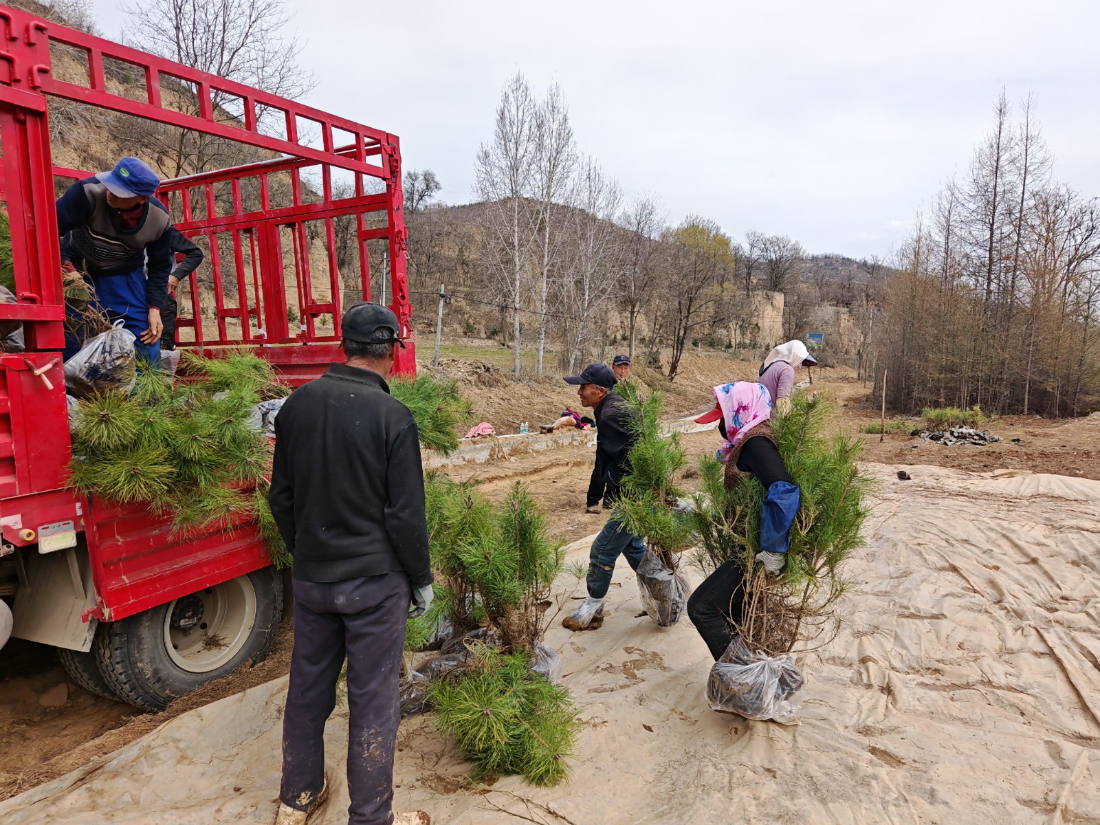 微信图片_20260326110436_231_31