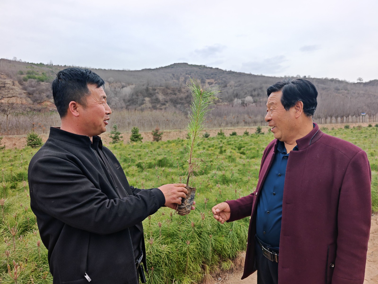 微信图片_20260326110445_235_31