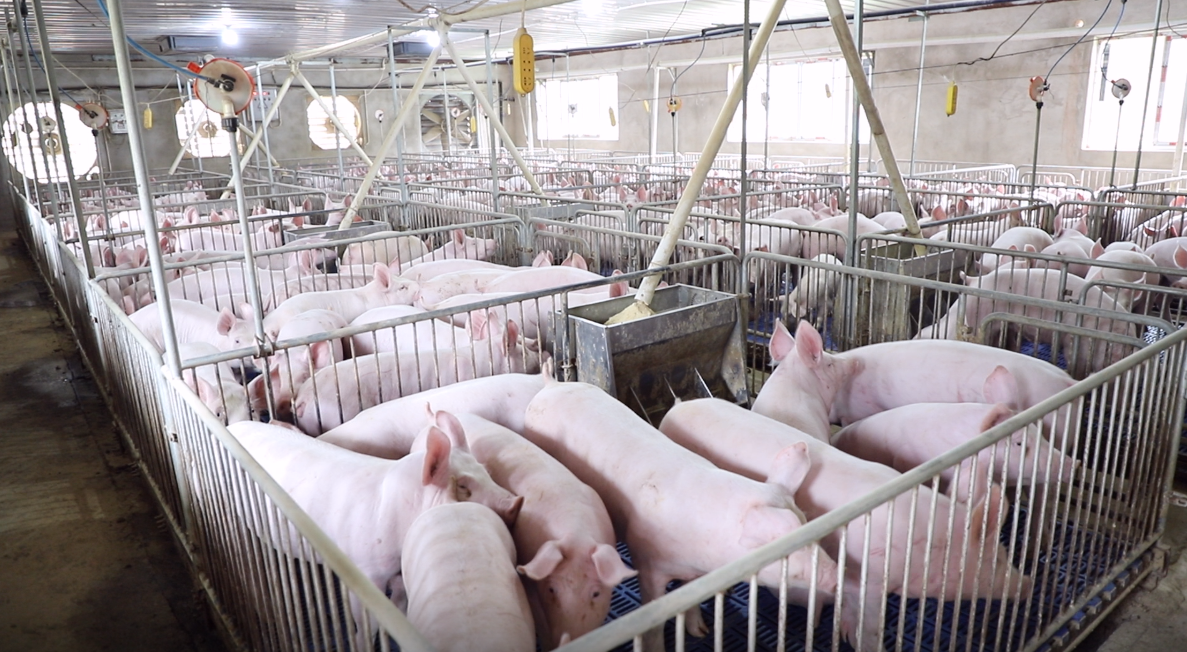 177******640006086790.png caa7117b-0c09-42a4-9711-440ab06b9c3c.png