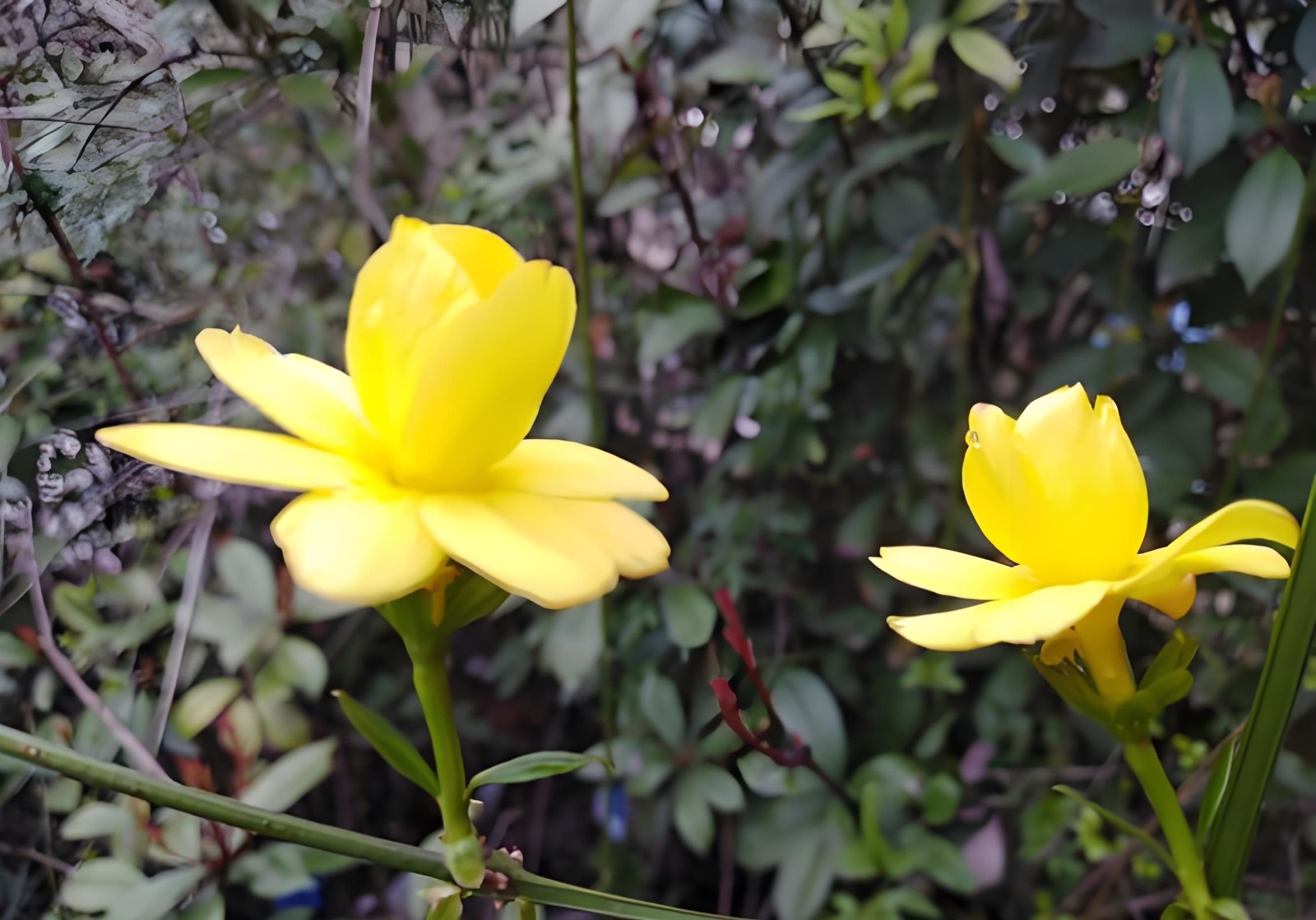 微信图片_20260407161338_72_62_副本