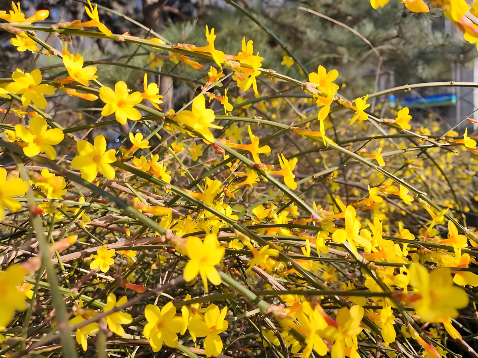 微信图片_20260407161338_73_62