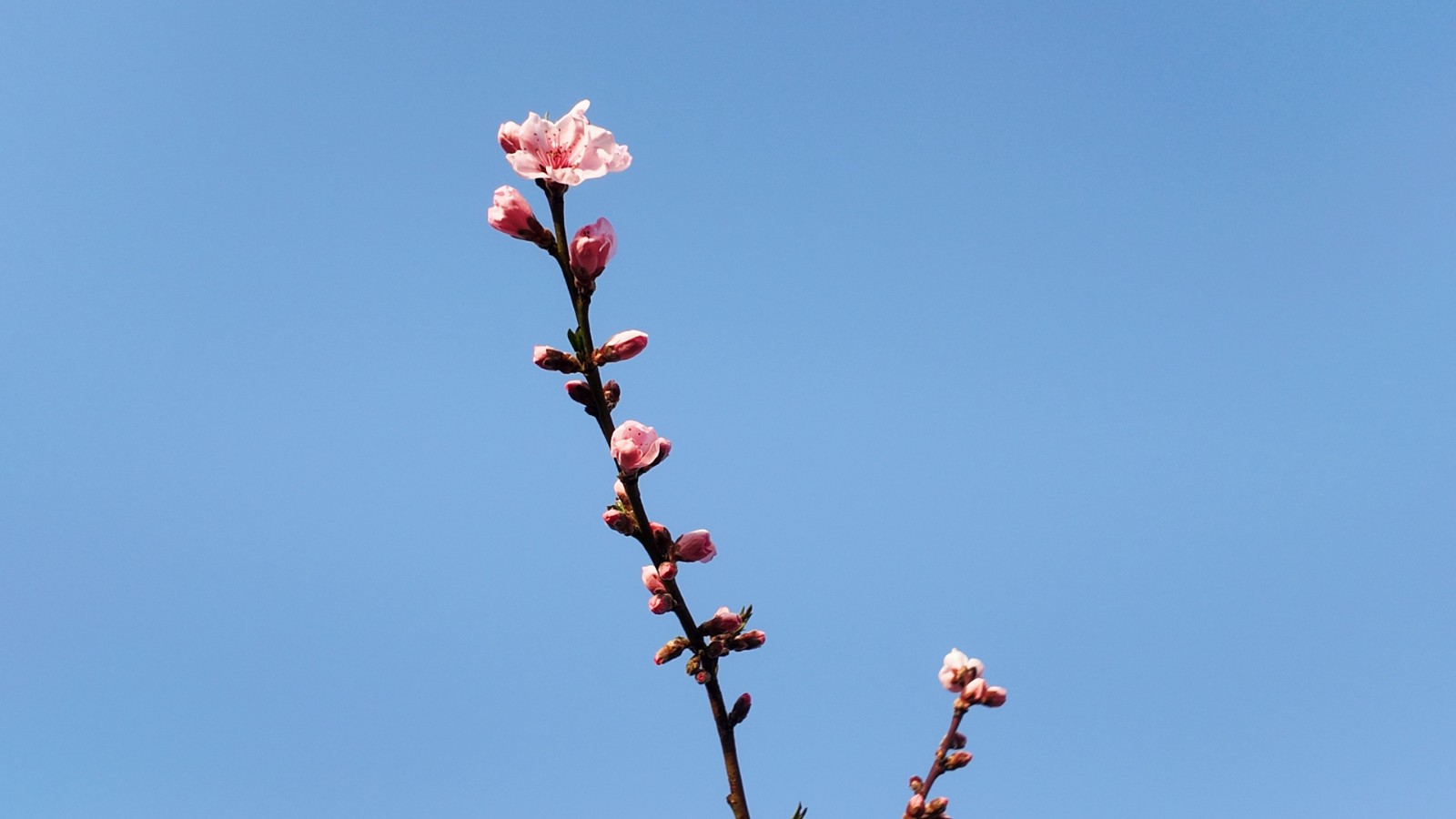 微信图片_20260409162759_91_62