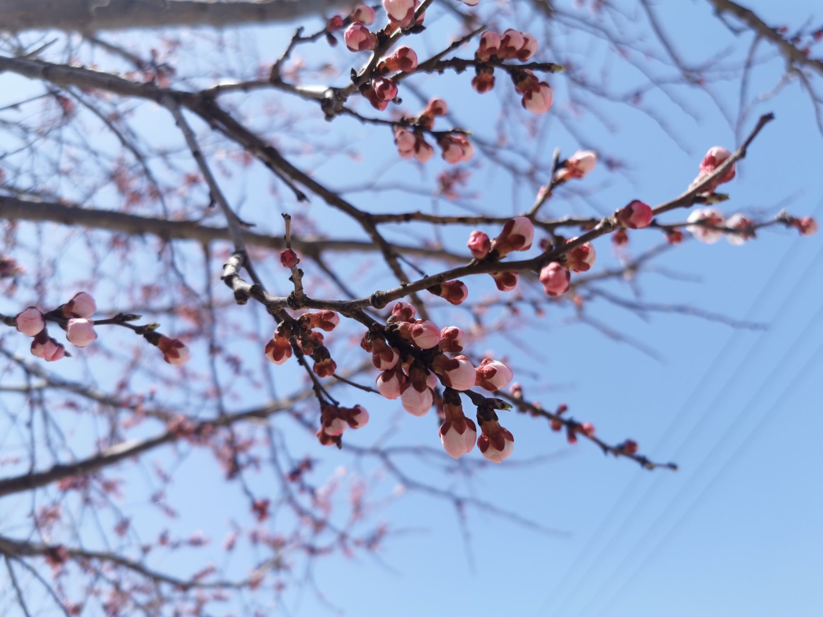 微信图片_20260407160329_65_62