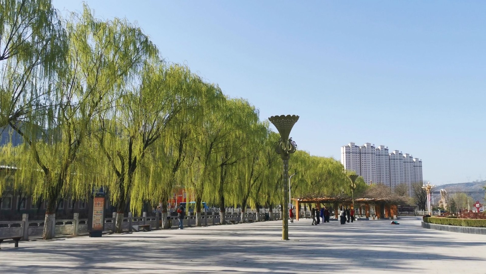 微信图片_20260407160142_62_62