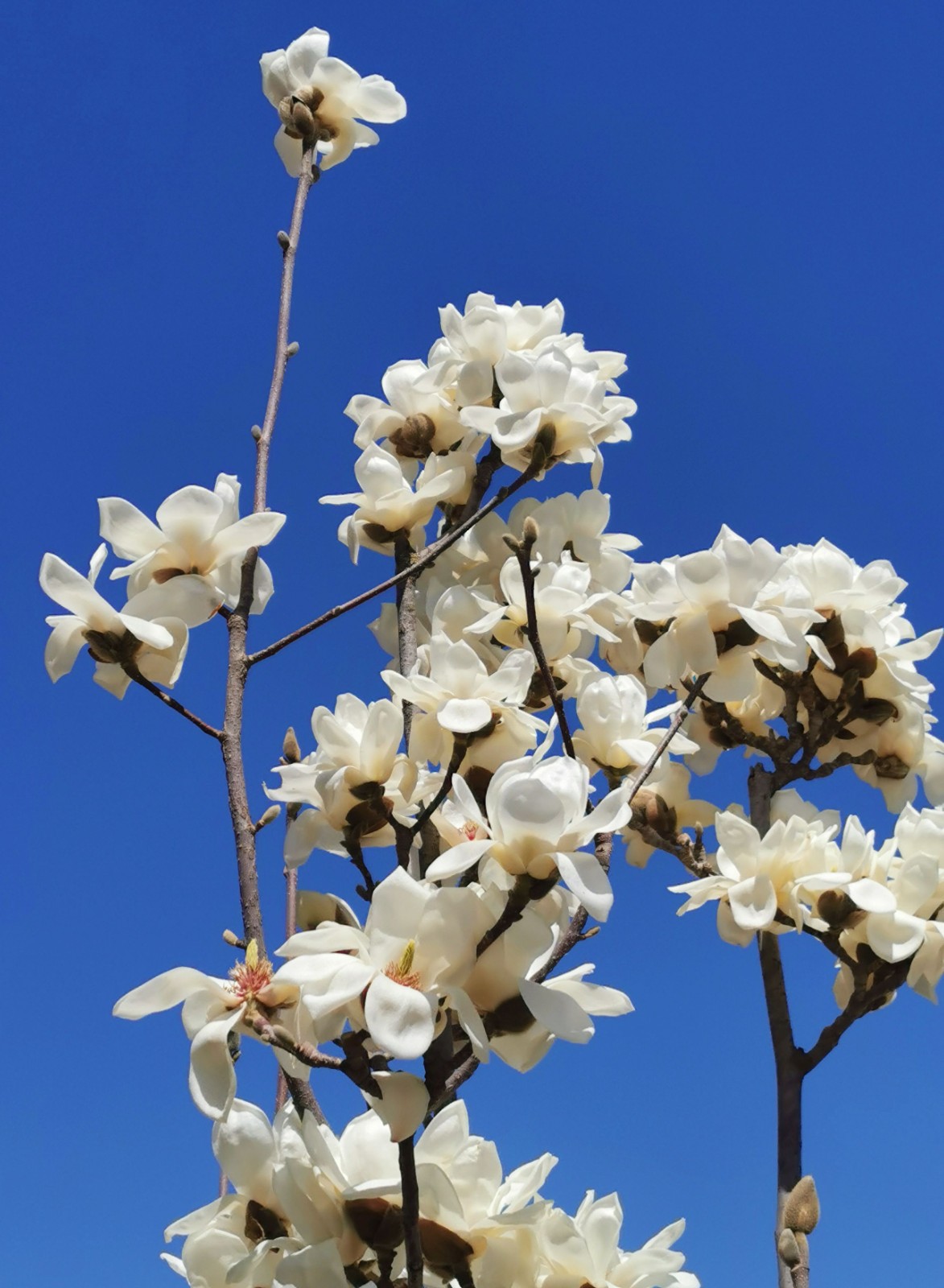 微信图片_20260407164009_78_62