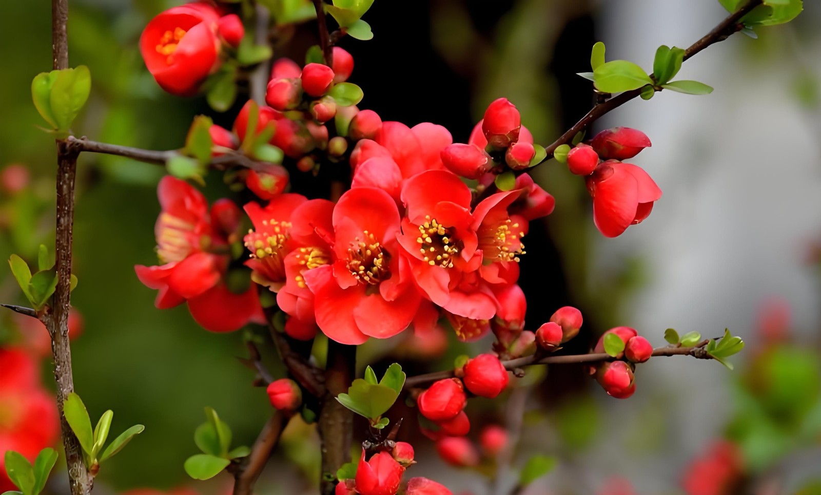 微信图片_20260407163701_77_62