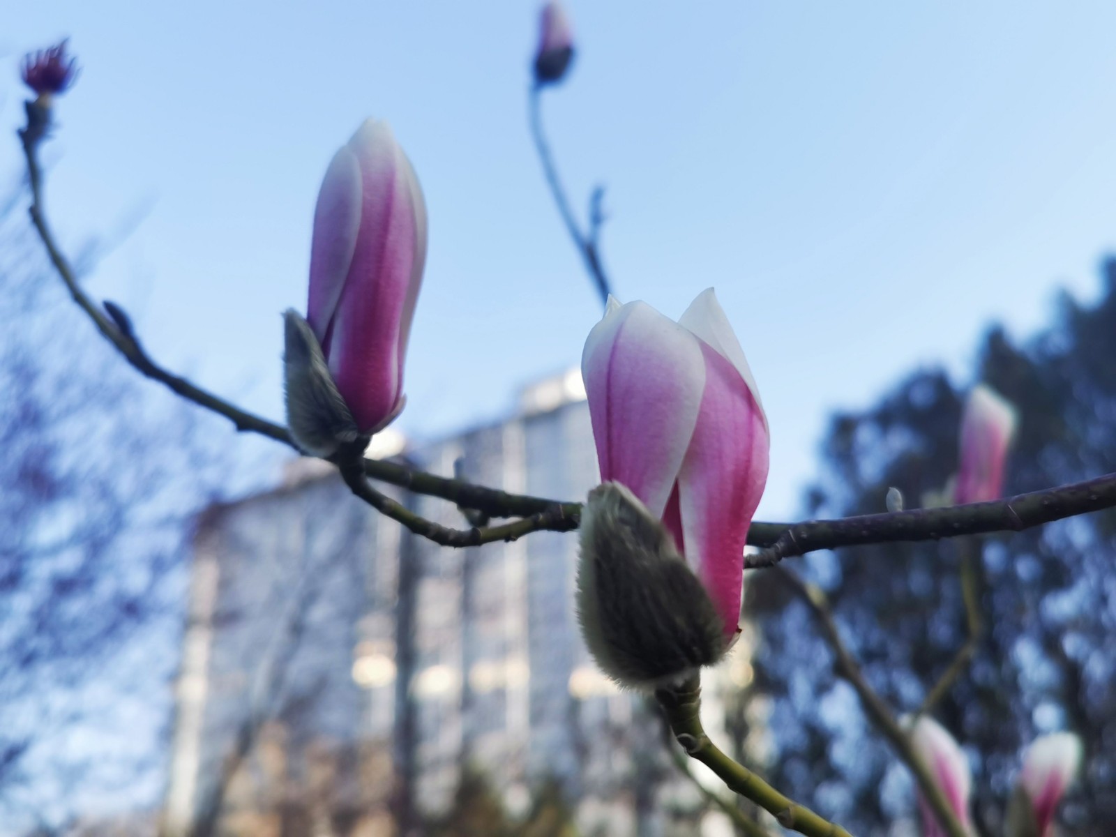 微信图片_20260407160333_69_62