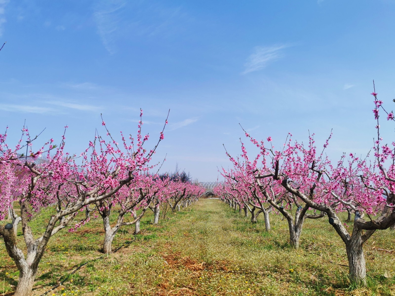 微信图片_20260409162755_89_62