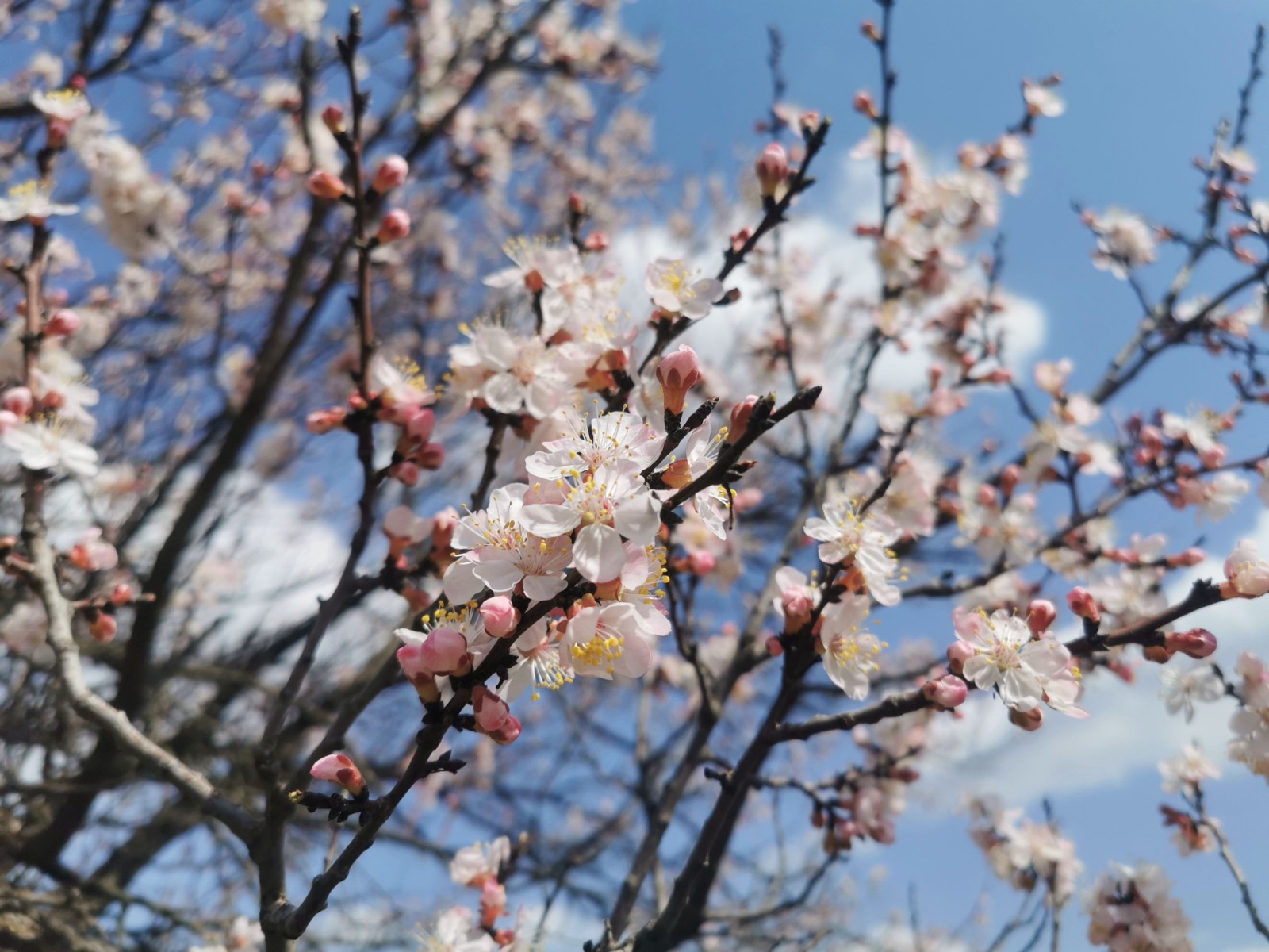 微信图片_20260407164519_79_62