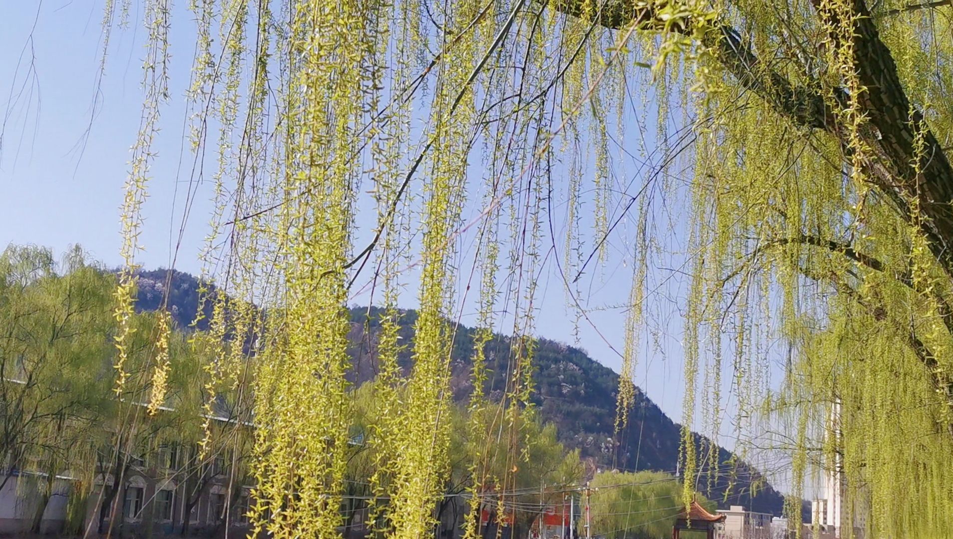 微信图片_20260407160141_61_62