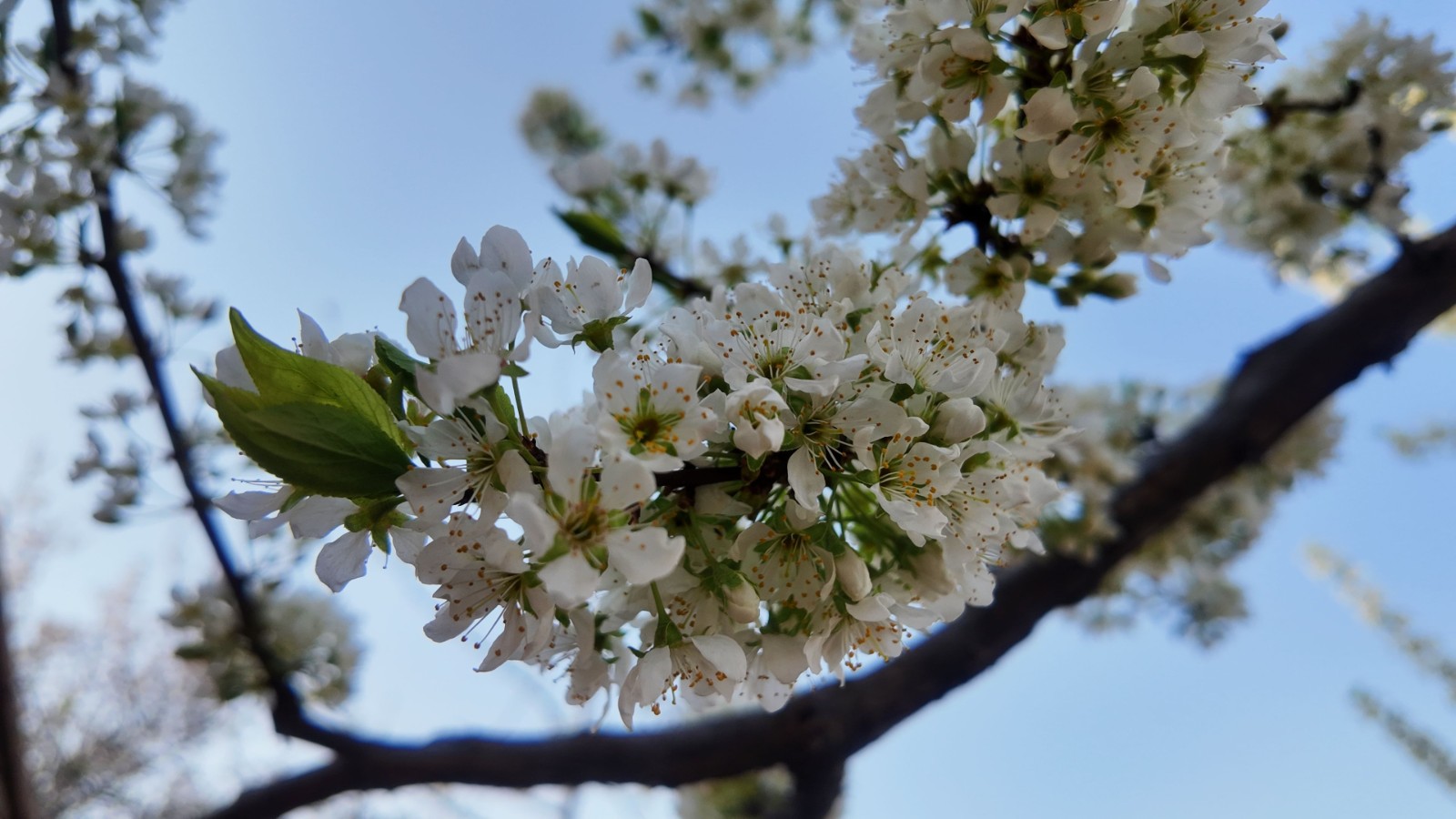 微信图片_20260409162757_90_62