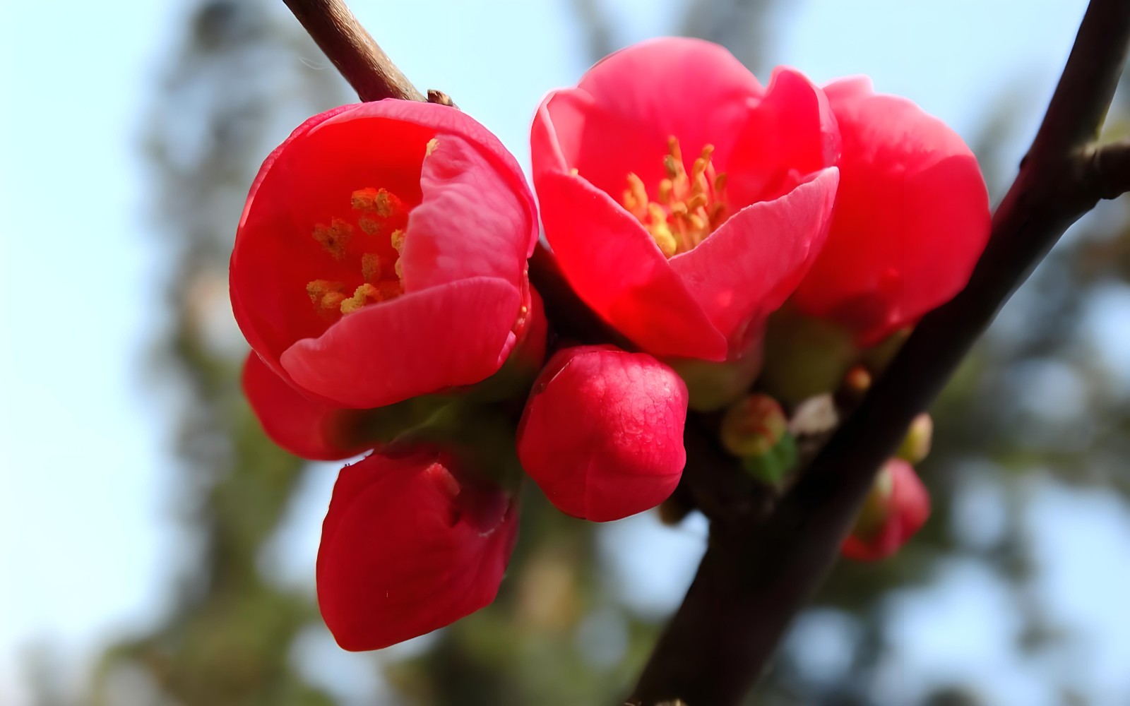 微信图片_20260407163432_75_62